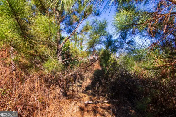 $144,900 | Tract 6-0 Chestnut Grove Road, Shiloh, GA 31826