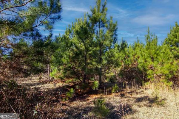 $144,900 | Tract 6-0 Chestnut Grove Road, Shiloh, GA 31826