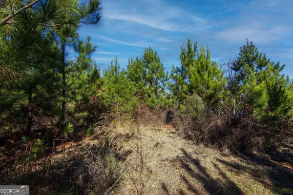 $144,900 | Tract 6-0 Chestnut Grove Road, Shiloh, GA 31826