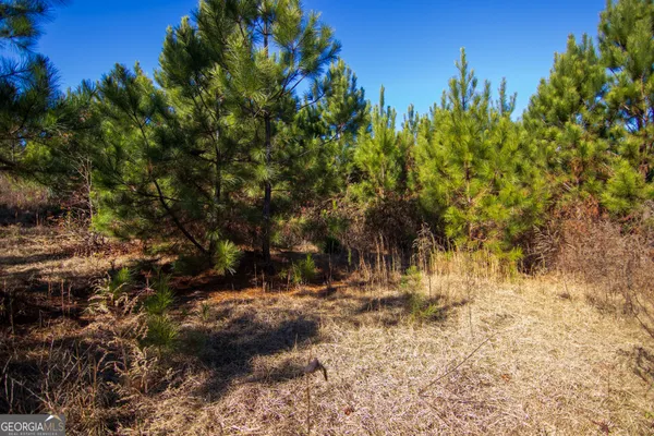 $144,900 | Tract 6-0 Chestnut Grove Road, Shiloh, GA 31826