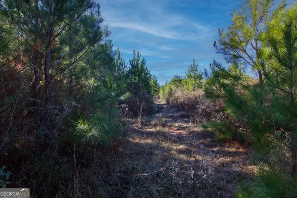 $144,900 | Tract 6-0 Chestnut Grove Road, Shiloh, GA 31826
