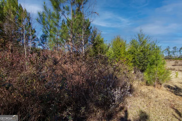 $144,900 | Tract 6-0 Chestnut Grove Road, Shiloh, GA 31826