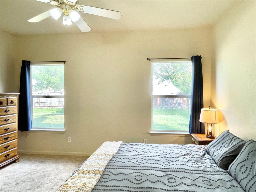 207 Kates Way Hutto, TX 78634 - Photo 7 of 24 Windowed room featuring textured walls and soft carpet flooring