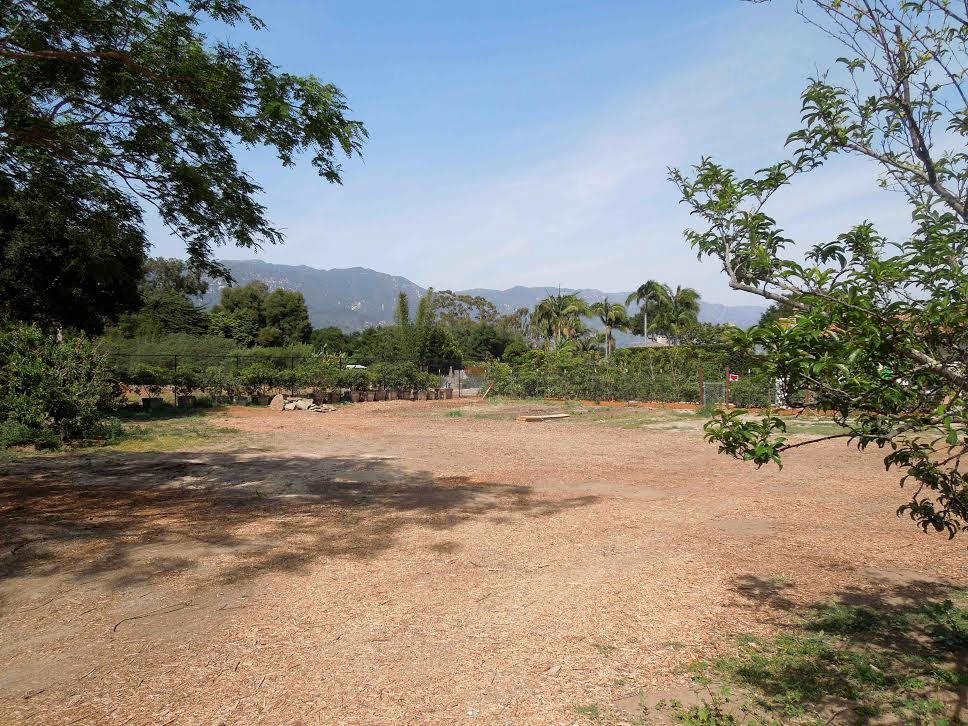 170 Middle Road Santa Barbara, CA 93108 - Photo 4 of 9 a view of a yard with a tree