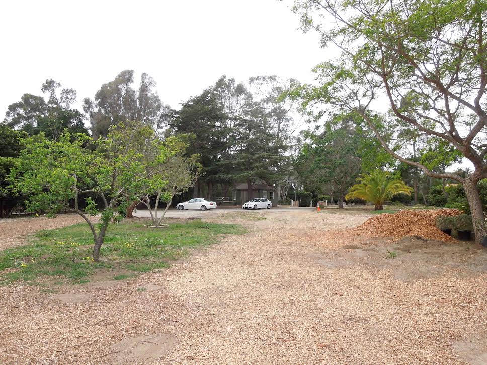 170 Middle Road Santa Barbara, CA 93108 - Photo 5 of 9 a view of a yard with a tree