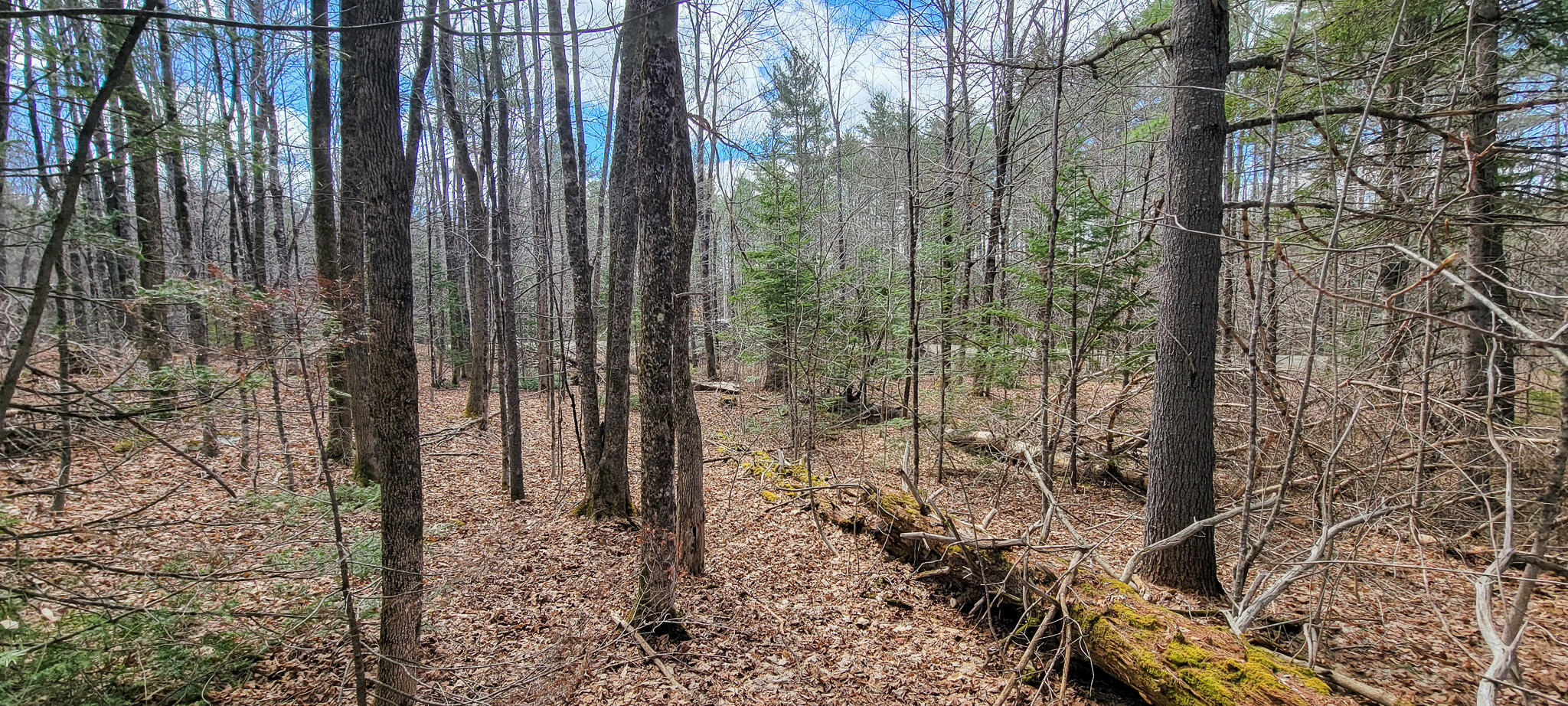 0 Borough Road Dover-Foxcroft, ME 04426 - Photo 11 of 26 20230420_112657