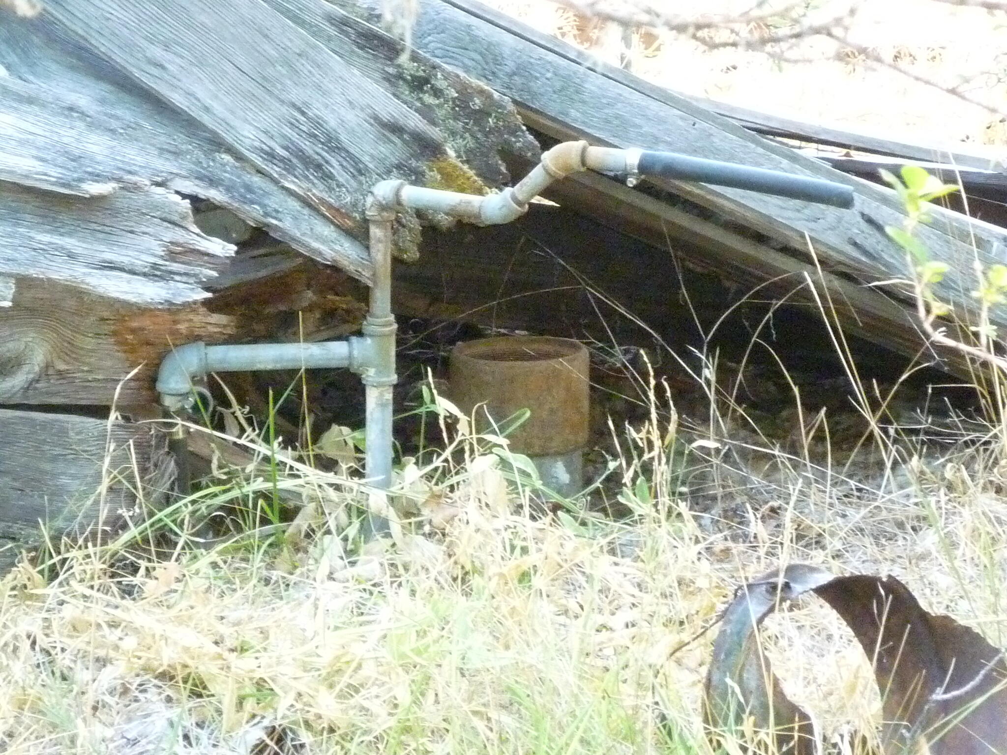 4125 Dick George Road Cave Junction, OR 97523 - Photo 29 of 50 P1160063