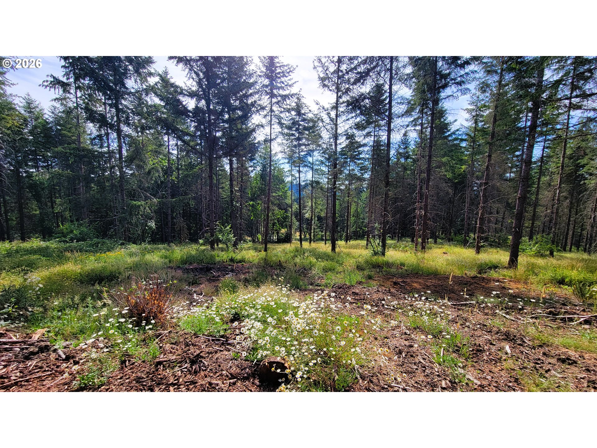 Branch Road, Unit 108 Eugene, OR 97402 - Photo 8 of 18