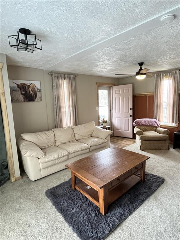 157 Whitestown Road Lyndora, PA 16045 - Photo 8 of 15
