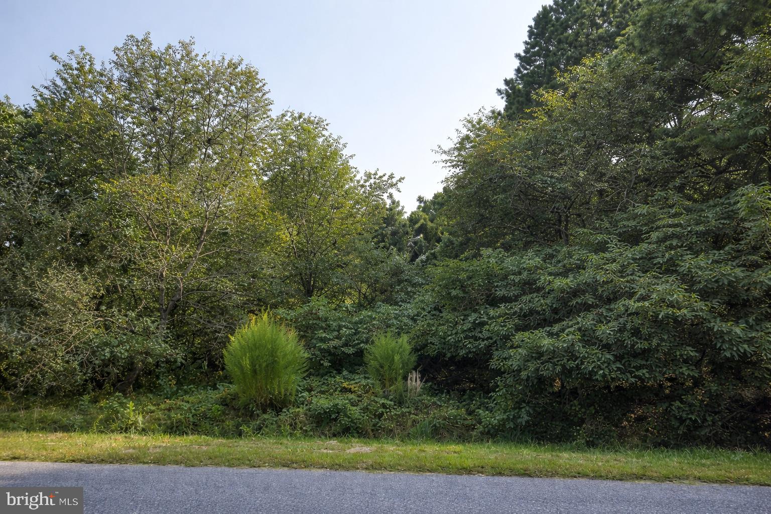Lot A Salisbury Road Ocean City, MD 21842 - Photo 3 of 4