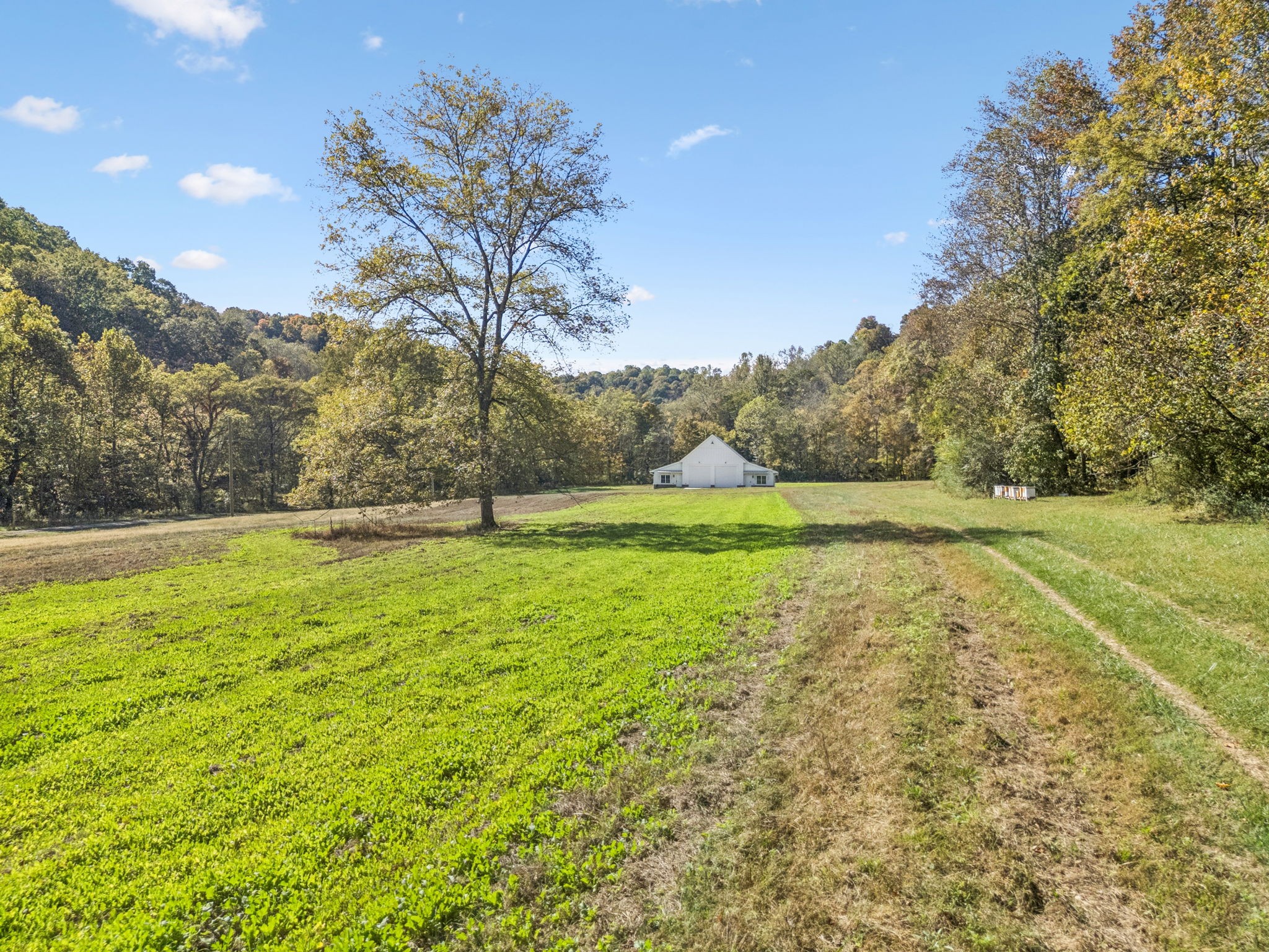 4388 Stenberg Road Whites Creek, TN 37189 - Photo 47 of 58 a view of outdoor space with deck and yard
