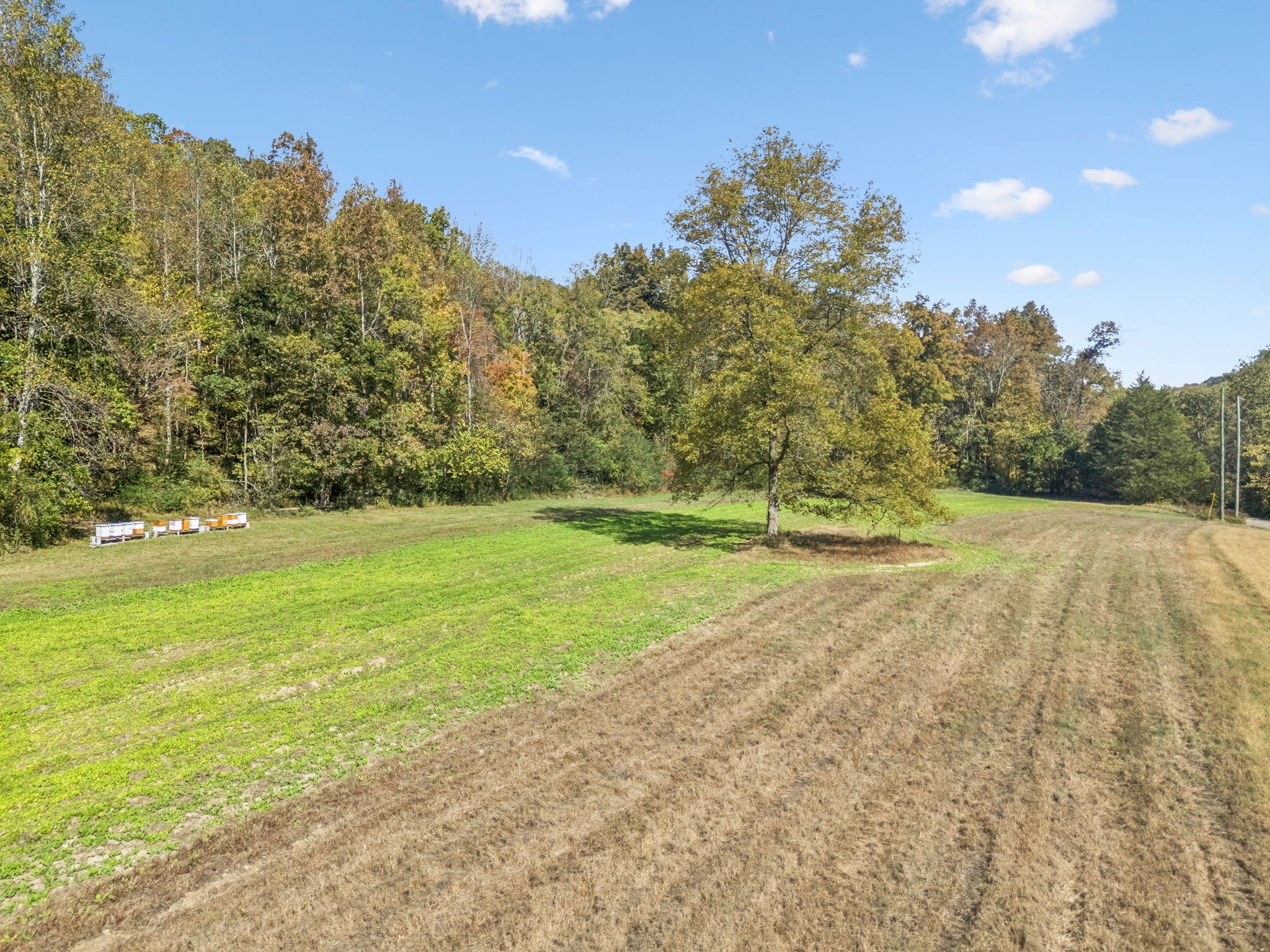 4388 Stenberg Road Whites Creek, TN 37189 - Photo 48 of 61 a view of a field with trees in the background