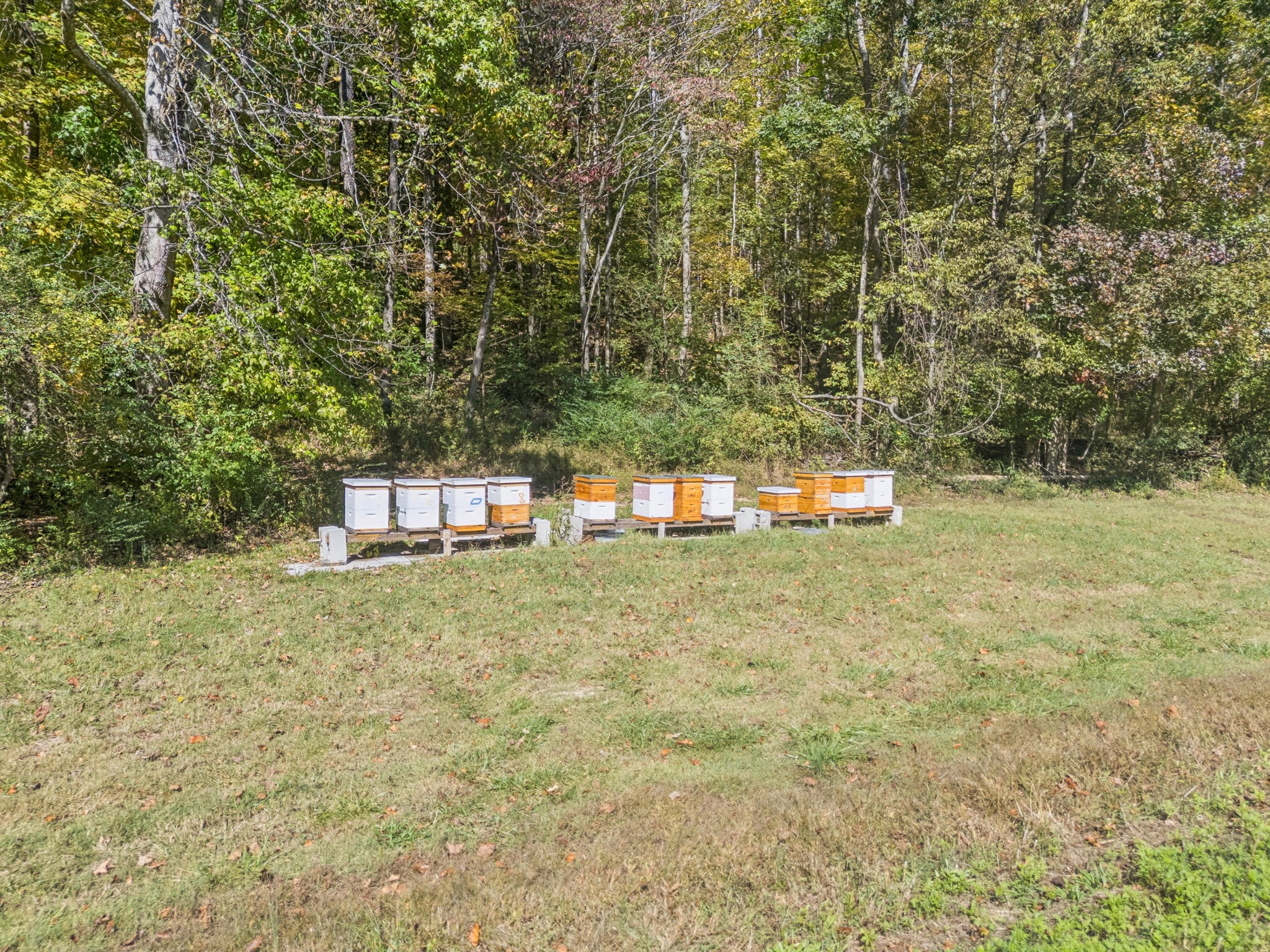 4388 Stenberg Road Whites Creek, TN 37189 - Photo 49 of 61