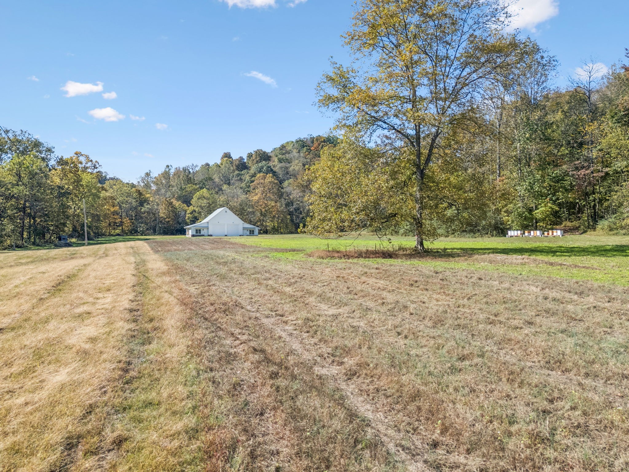 4388 Stenberg Road Whites Creek, TN 37189 - Photo 51 of 61 a view of a field with trees in the background