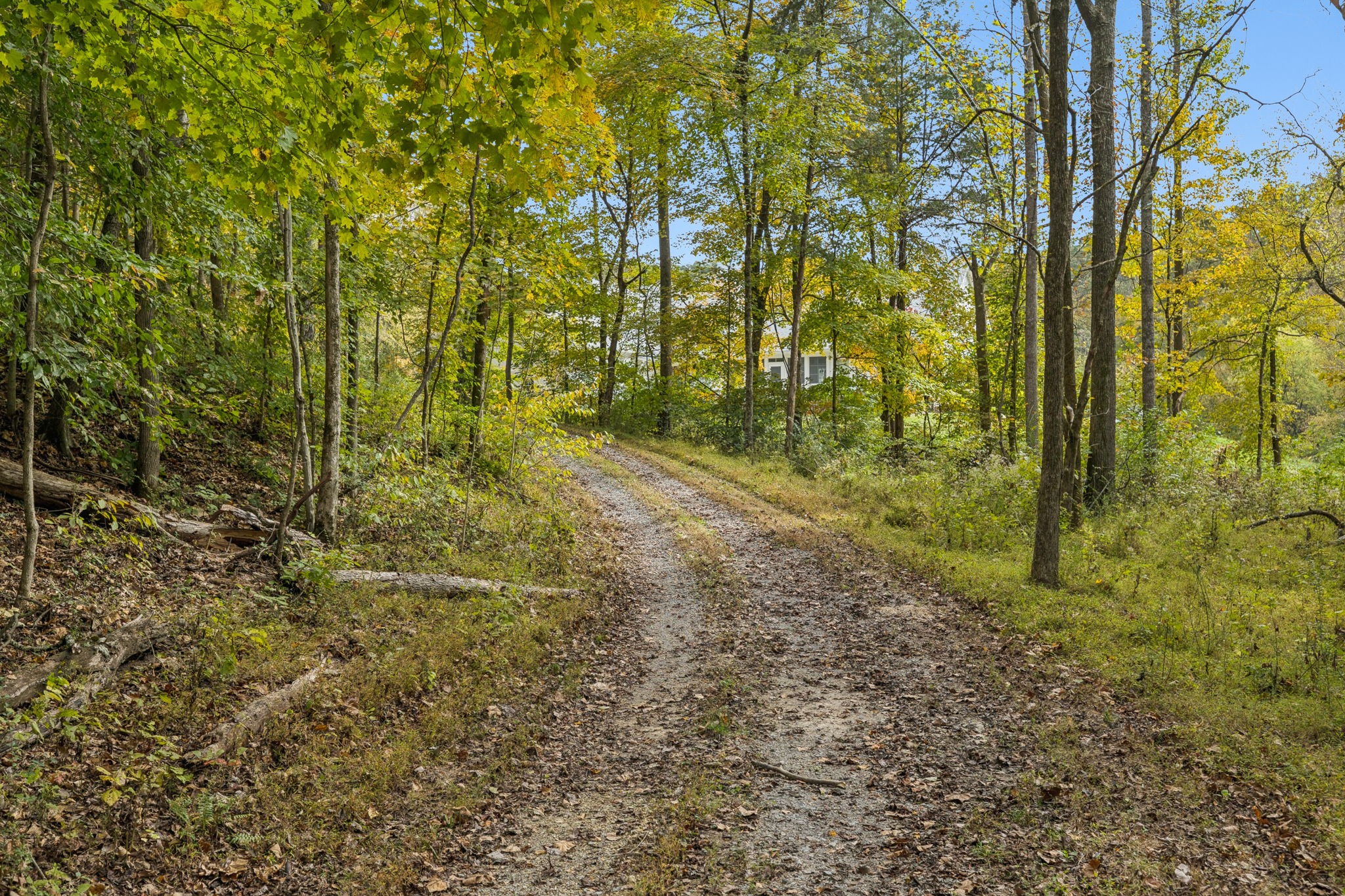 4388 Stenberg Road Whites Creek, TN 37189 - Photo 59 of 61
