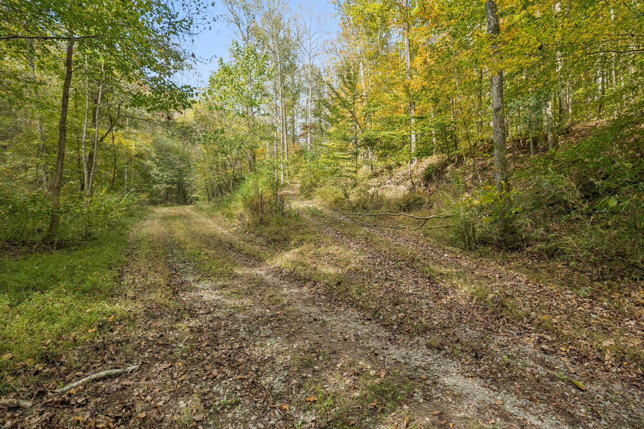4388 Stenberg Road Whites Creek, TN 37189 - Photo 61 of 61 a view of a yard