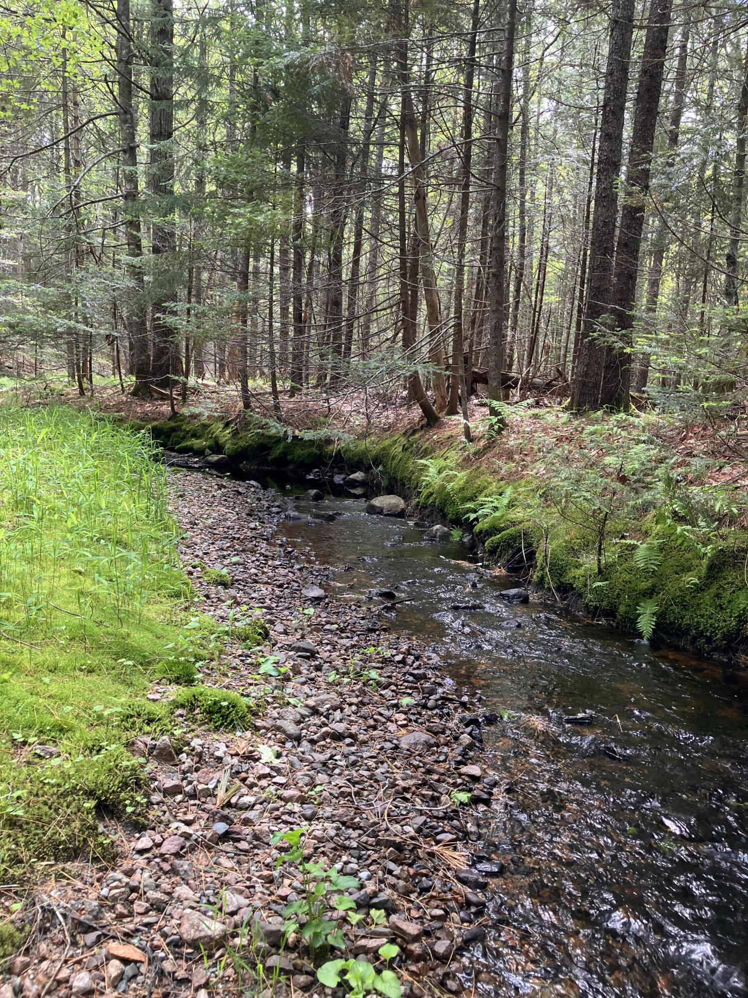 0 Eagle Lake Road Bar Harbor, ME 04609 - Photo 2 of 12 IMG_1373