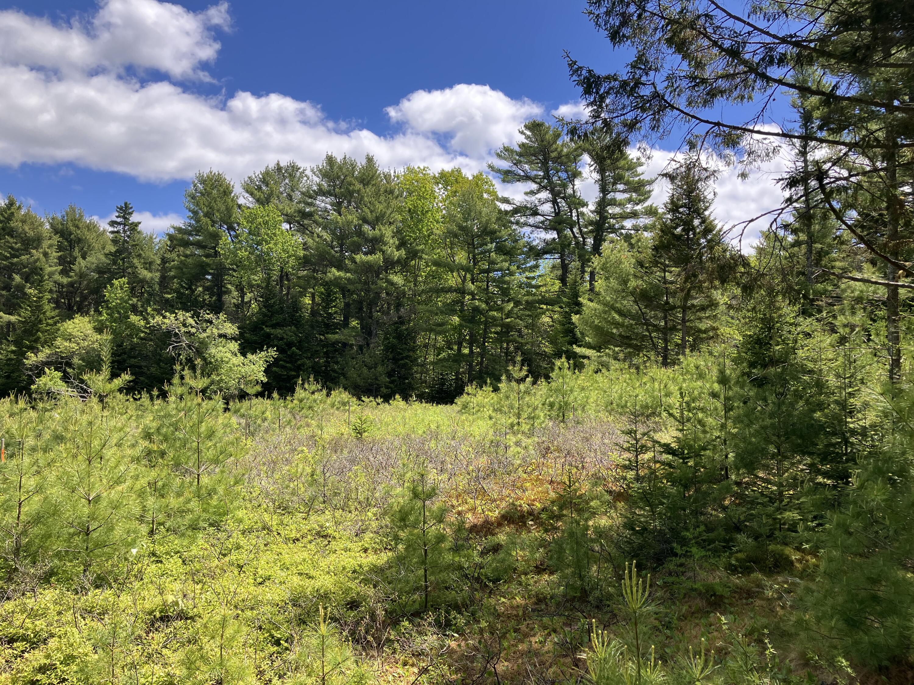 0 Eagle Lake Road Bar Harbor, ME 04609 - Photo 4 of 12 IMG_1364