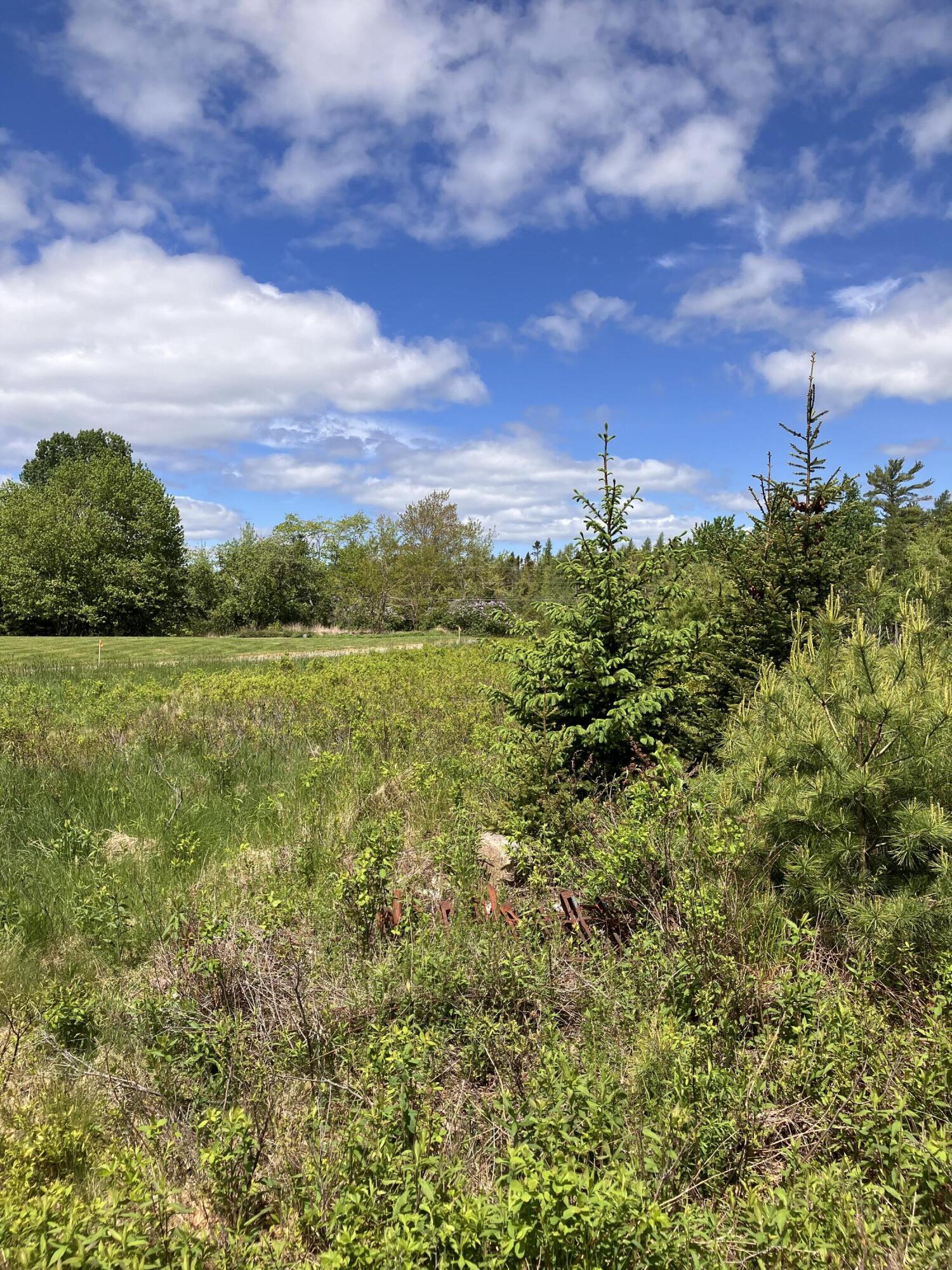 0 Eagle Lake Road Bar Harbor, ME 04609 - Photo 6 of 12 IMG_1365