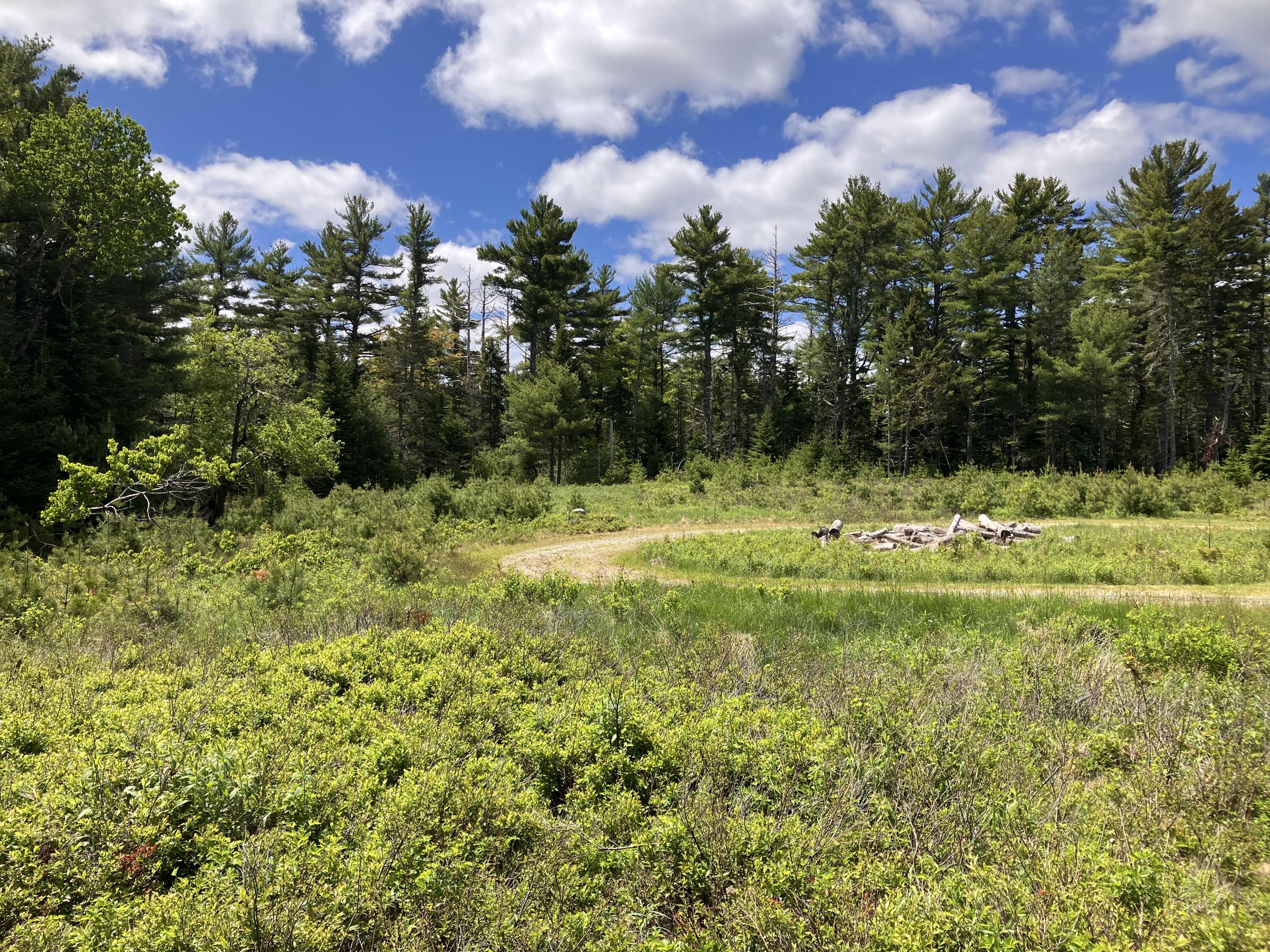 0 Eagle Lake Road Bar Harbor, ME 04609 - Photo 7 of 12 IMG_1366