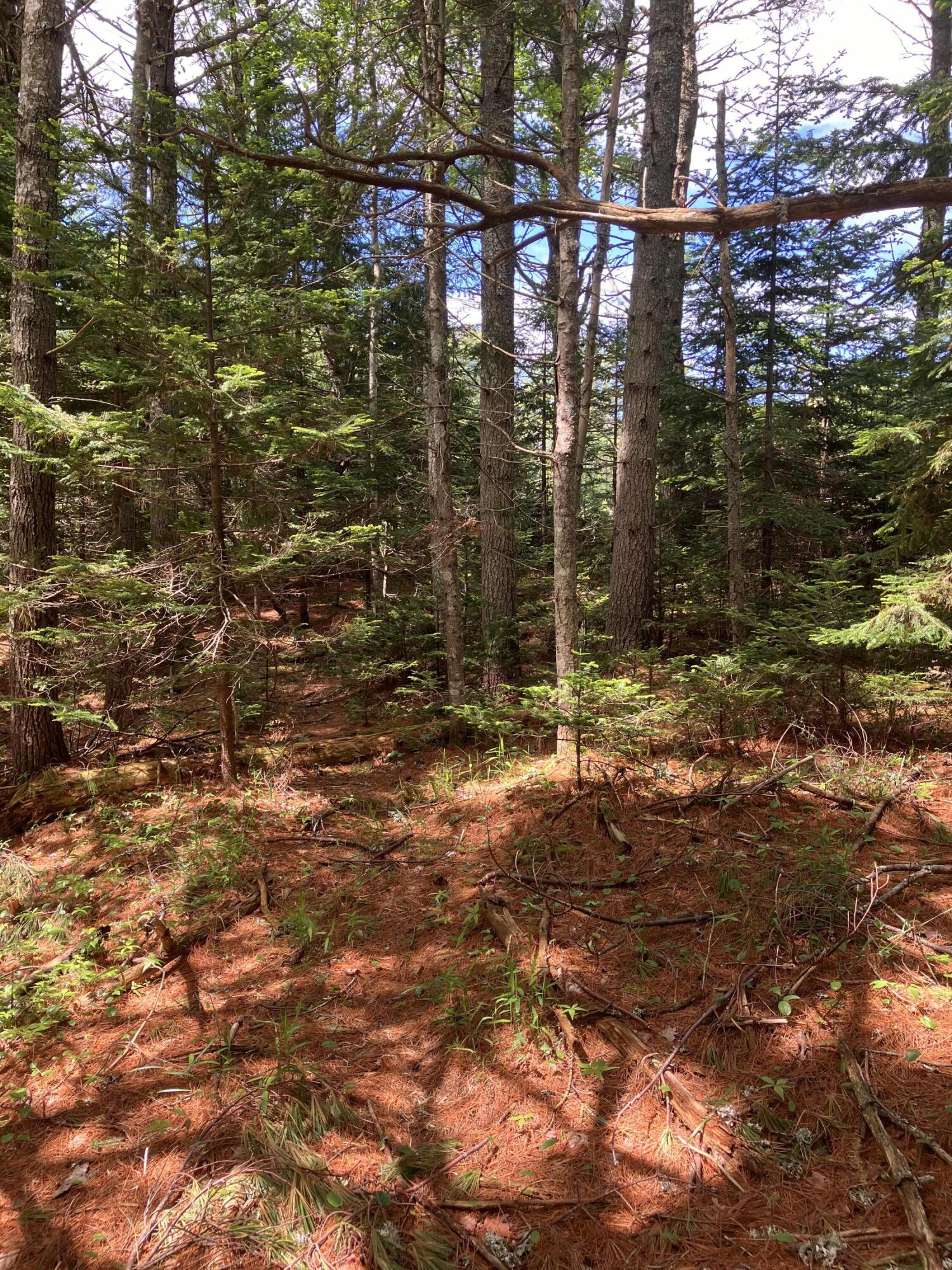 0 Eagle Lake Road Bar Harbor, ME 04609 - Photo 10 of 12 IMG_1377