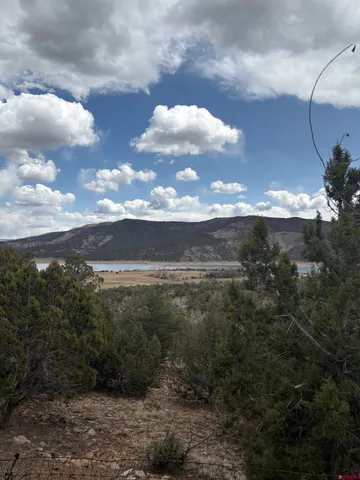 a view of a mountain with a forest