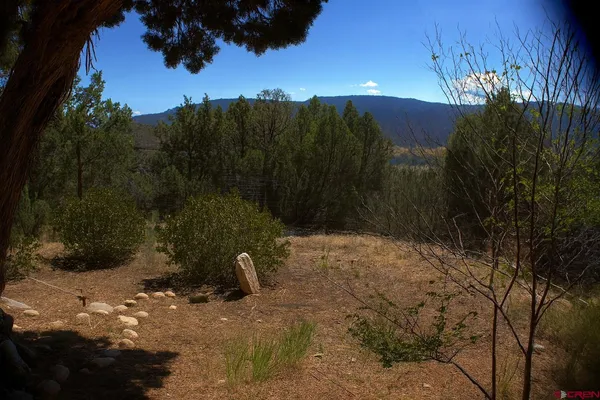 $320,000 | 94 Eagles Place, Arboles, CO 81121