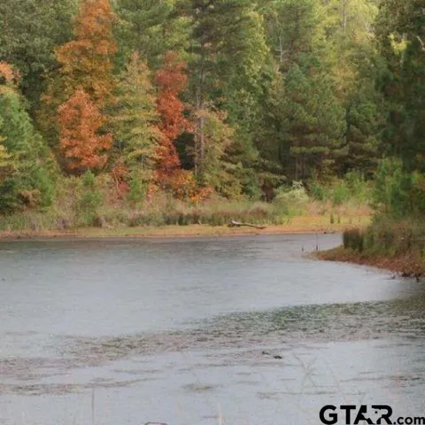 $179,000 | Lot 36 Acr 453, Montalba, TX 75853