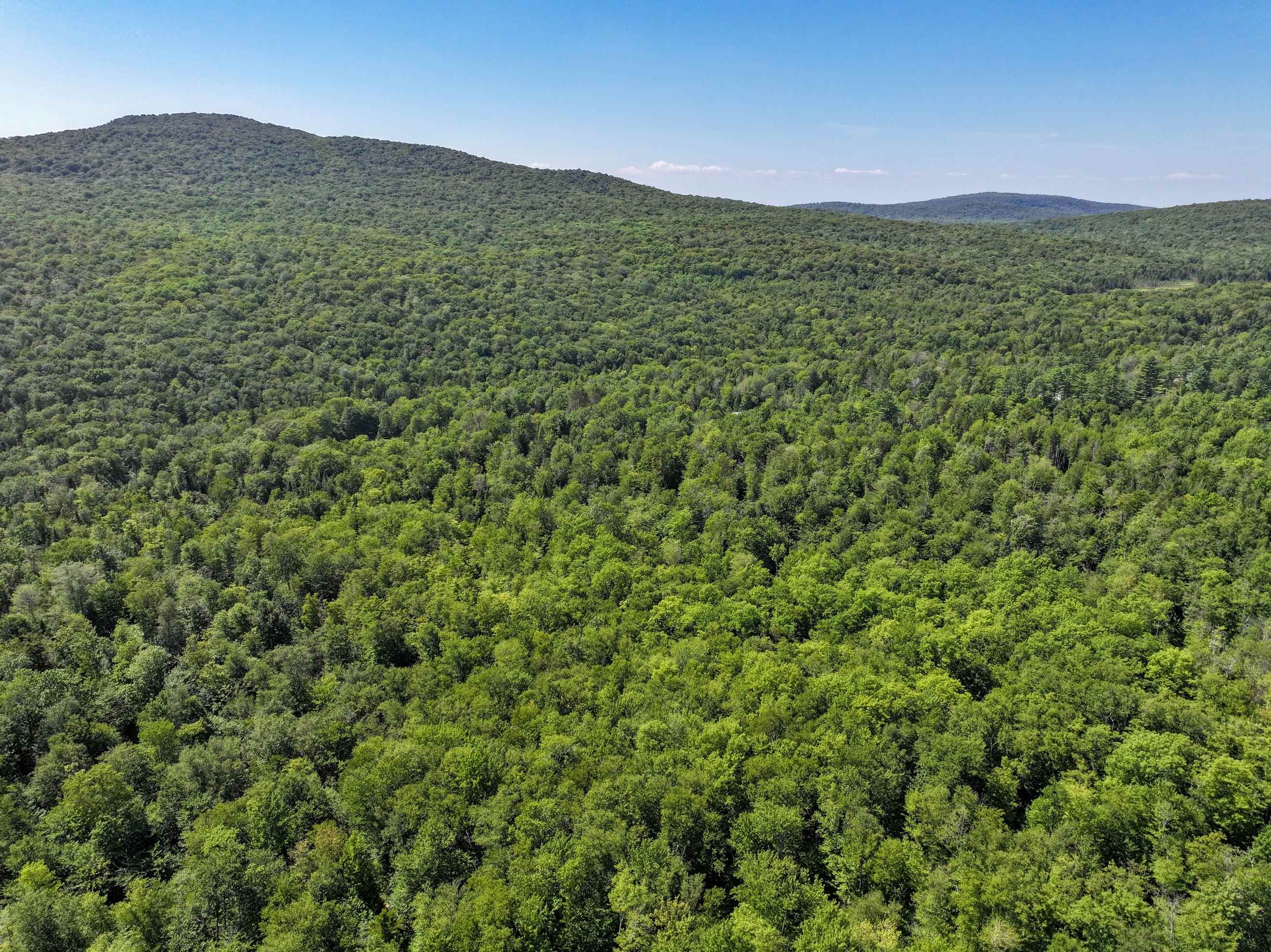 Lot 3 Lincoln Road Ripton, VT 05766 - Photo 11 of 19