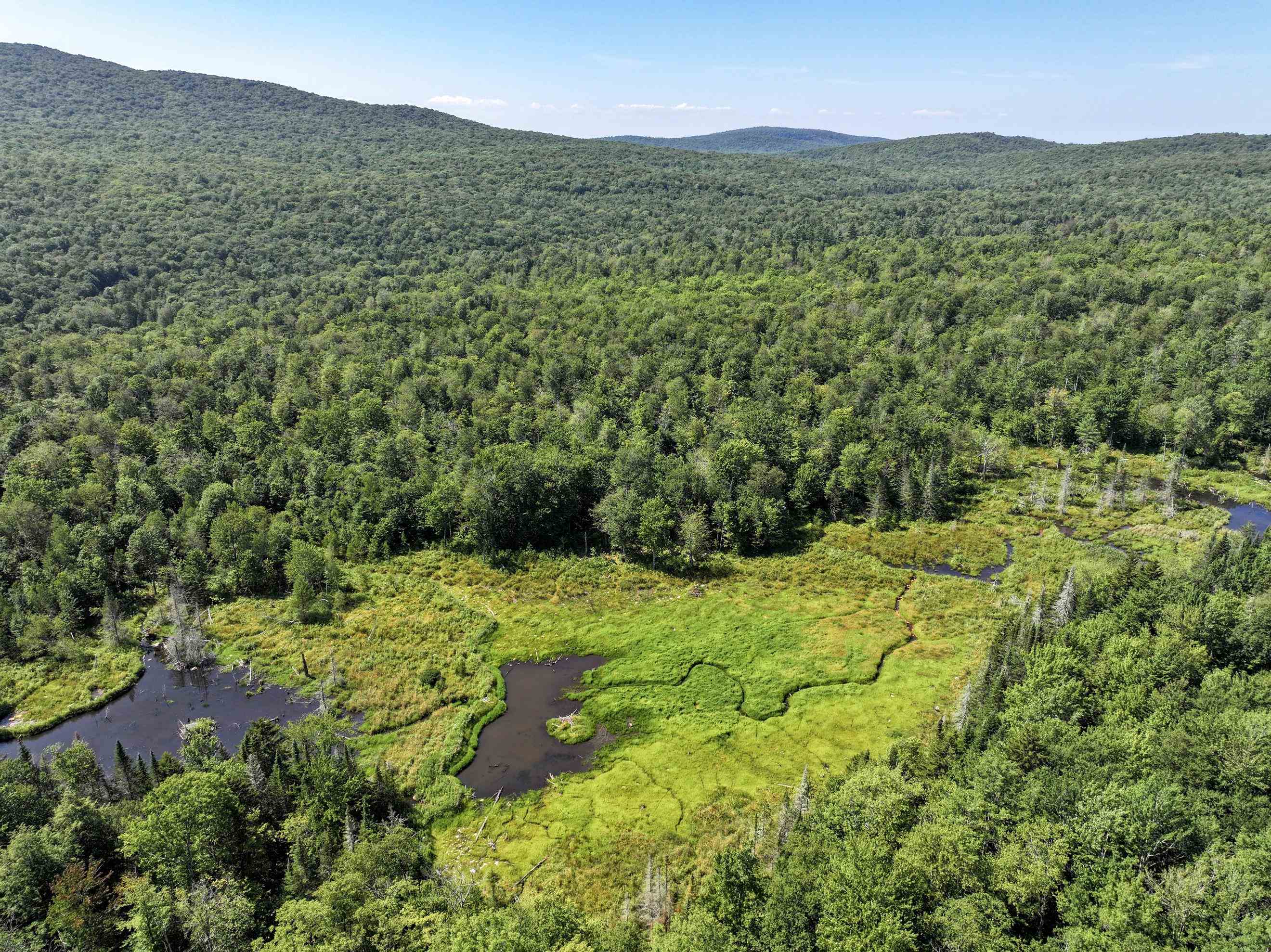 Lot 3 Lincoln Road Ripton, VT 05766 - Photo 16 of 19