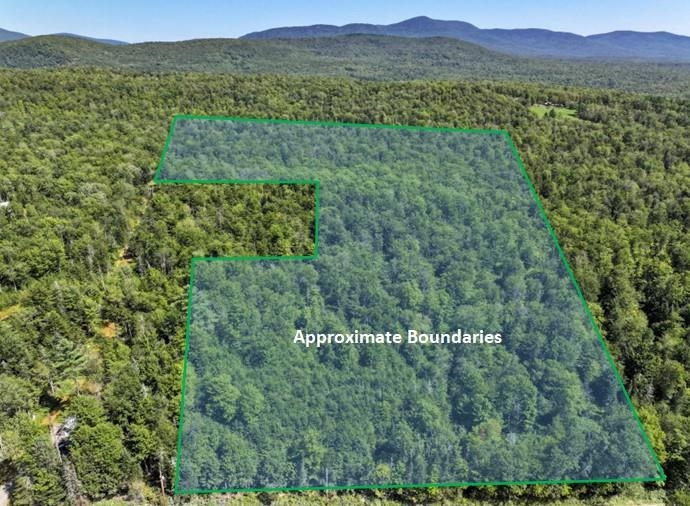 Lot 3 Lincoln Road Ripton, VT 05766 - Photo 3 of 19