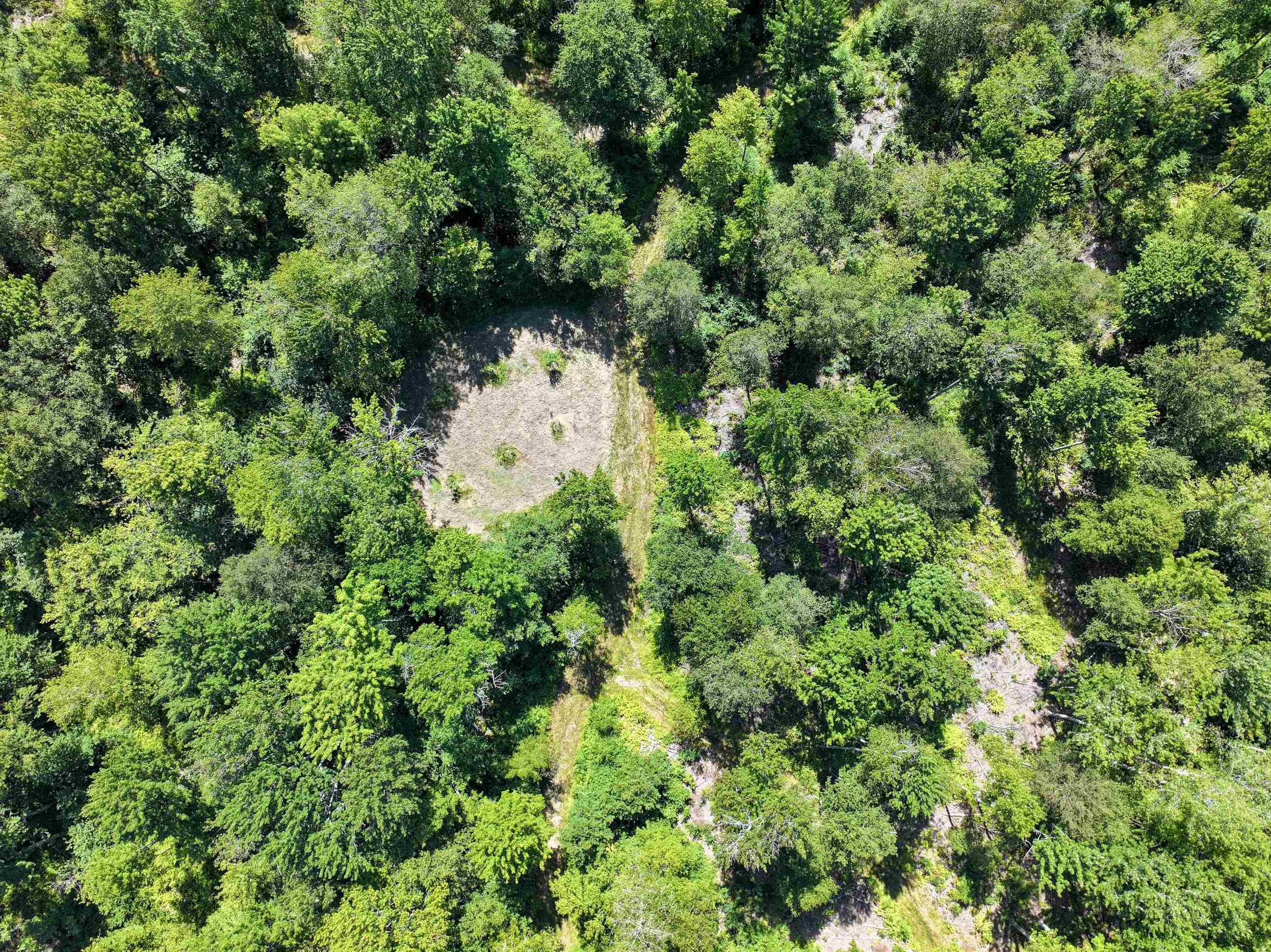 Lot 3 Lincoln Road Ripton, VT 05766 - Photo 4 of 19