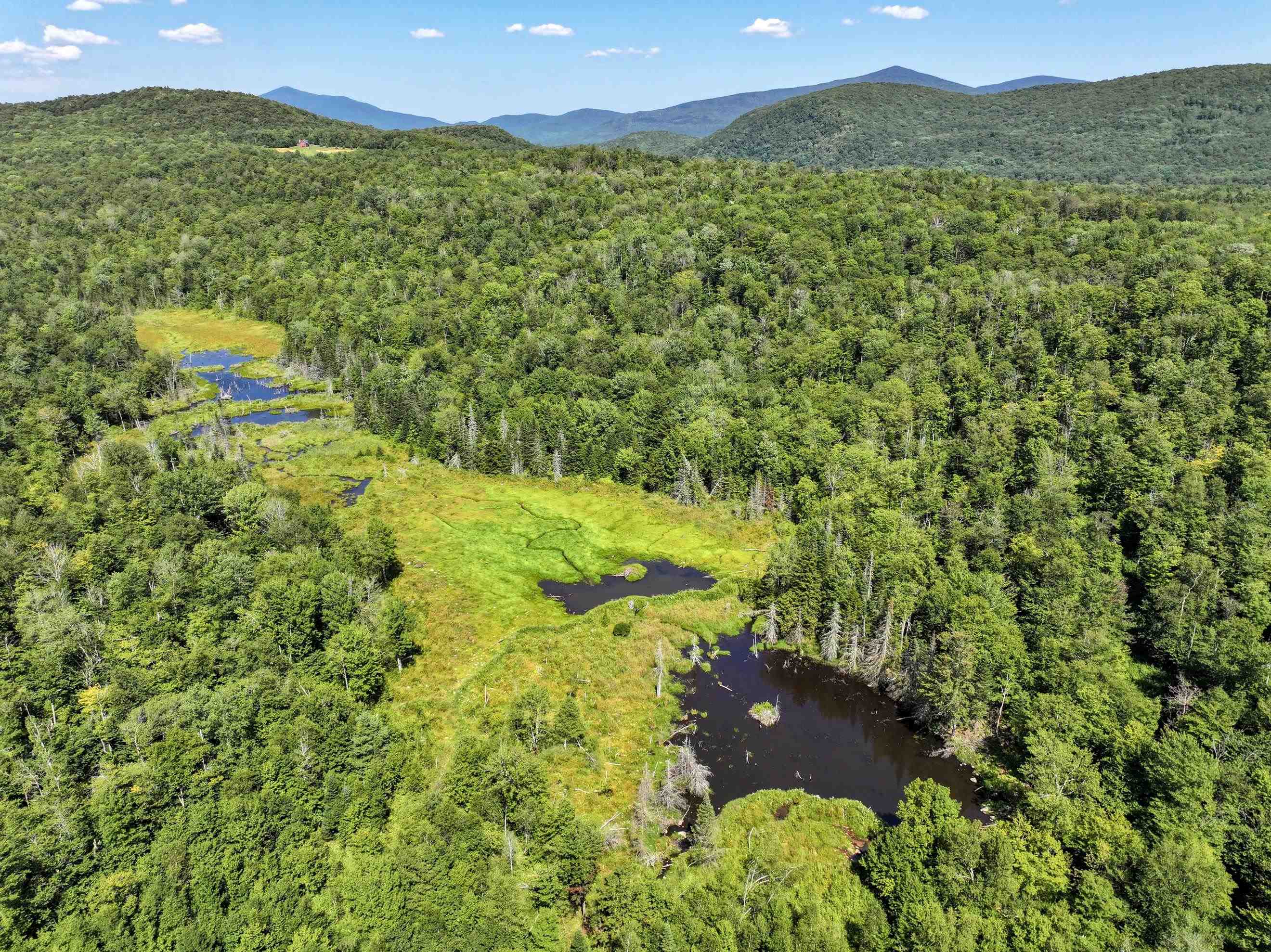 Lot 3 Lincoln Road Ripton, VT 05766 - Photo 9 of 19