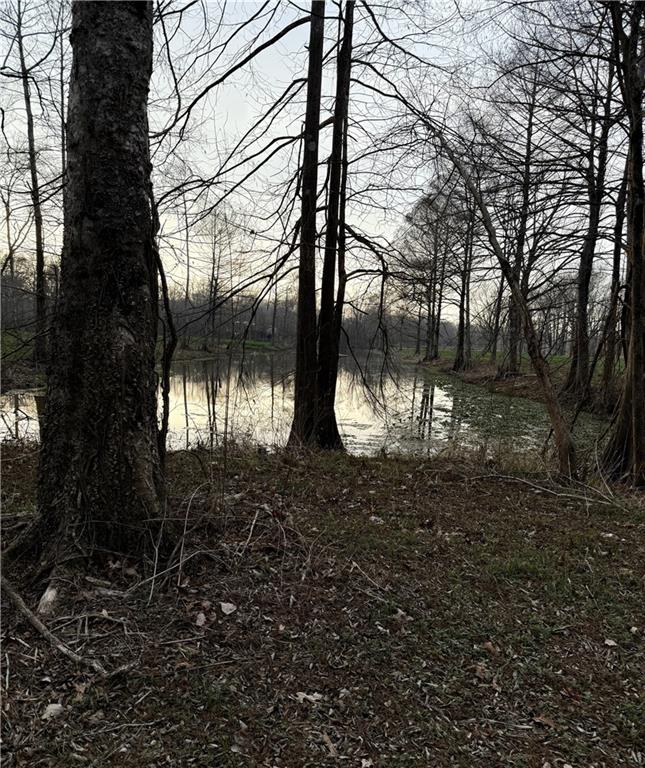 Tbd Little River Road Marksville, LA 71351 - Photo 2 of 4