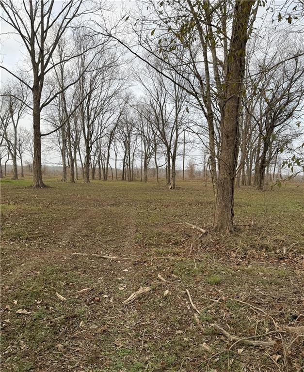 Tbd Little River Road Marksville, LA 71351 - Photo 3 of 4