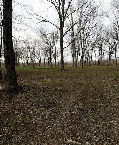 $42,000 | Tbd Little River Road, Marksville, LA 71351