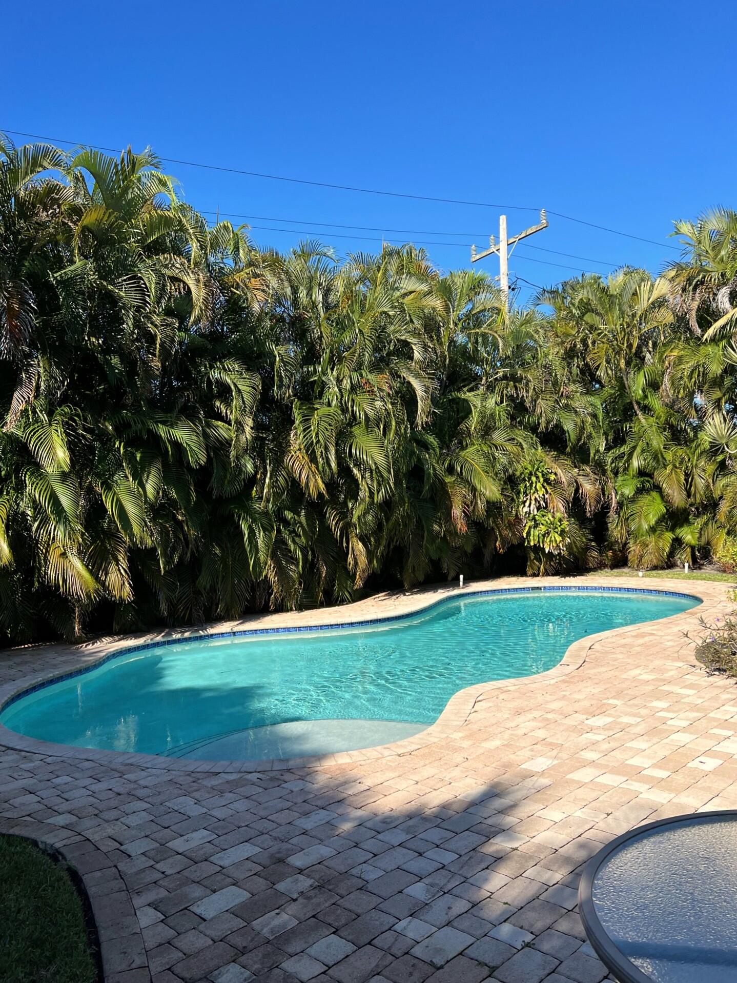 2107 Northeast 4th Avenue Boca Raton, FL 33431 - Photo 20 of 29 y Pool
