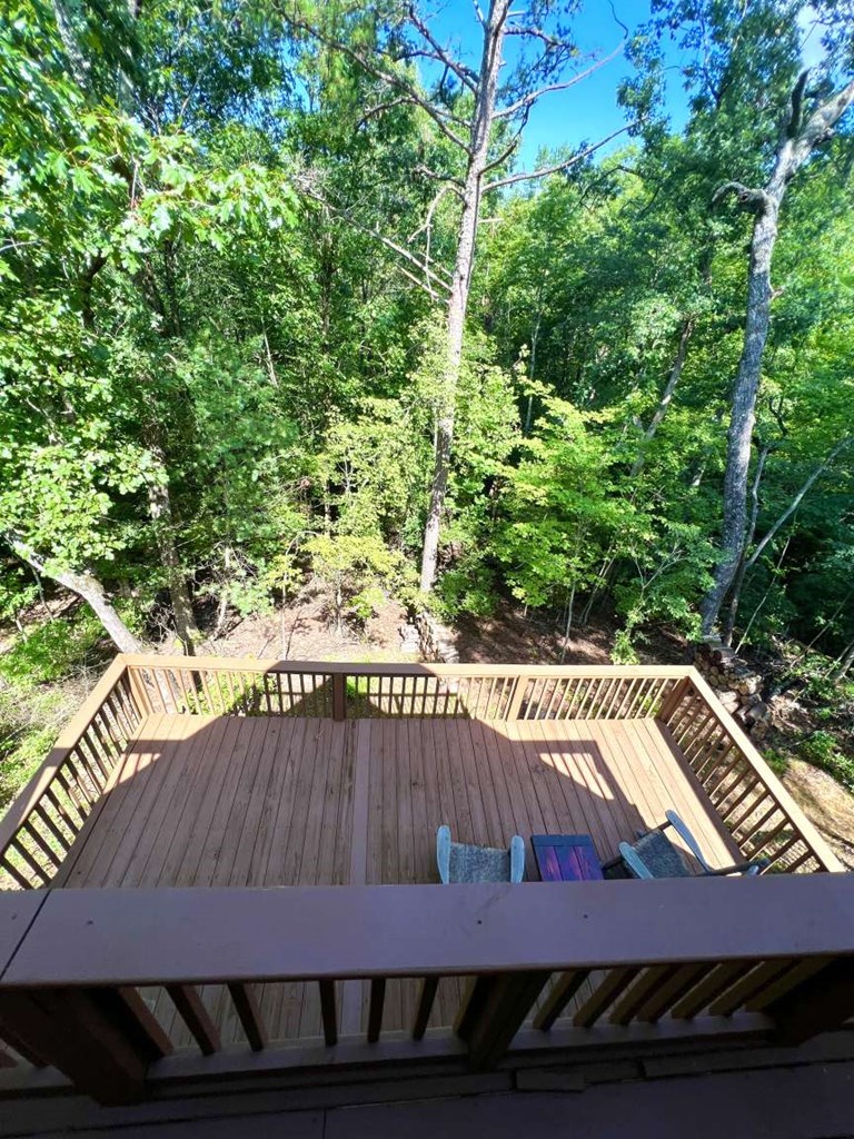 100 Tufts Road Ellijay, GA 30536 - Photo 18 of 25 Gallery Image 18