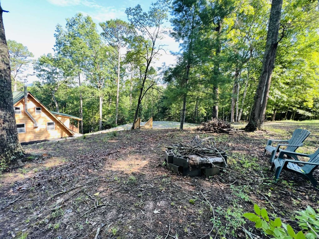 100 Tufts Road Ellijay, GA 30536 - Photo 25 of 25 Gallery Image 25