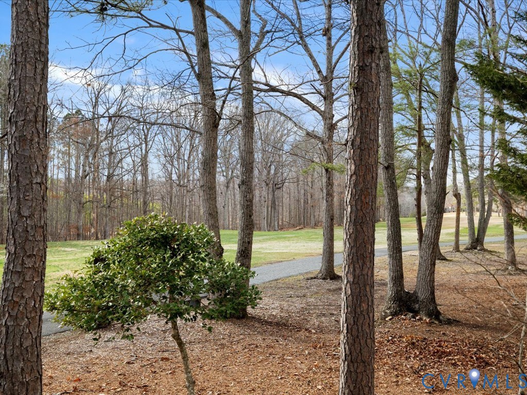 54 Bunker Boulevard Chesterfield, VA 23832 - Photo 22 of 64