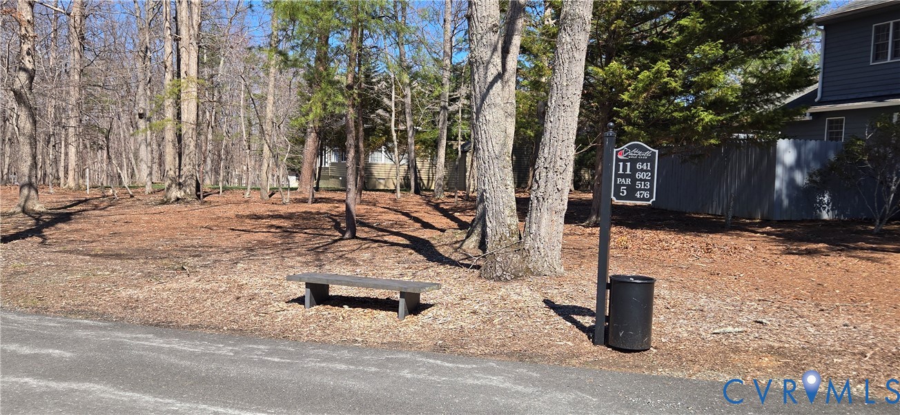 54 Bunker Boulevard Chesterfield, VA 23832 - Photo 60 of 64 11th Tee box