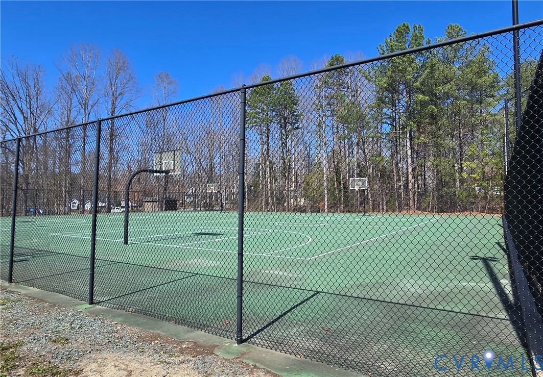 54 Bunker Boulevard Chesterfield, VA 23832 - Photo 62 of 64 Basketball courts