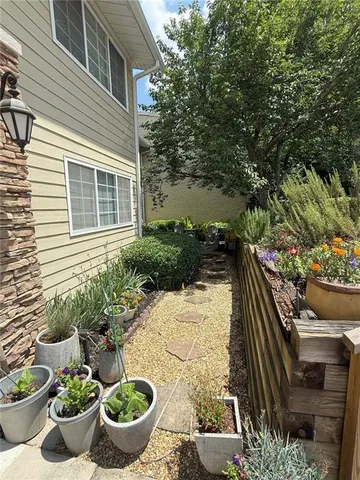 a view of a backyard with potted plants