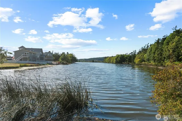 a view of a swimming pool and lounge chairs
