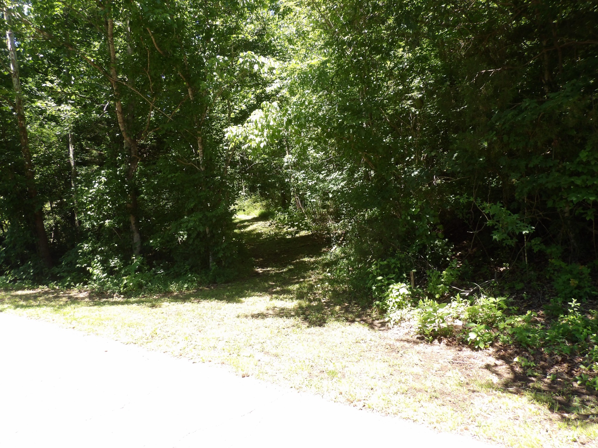 587 West Little Richland Road Waverly, TN 37185 - Photo 13 of 26