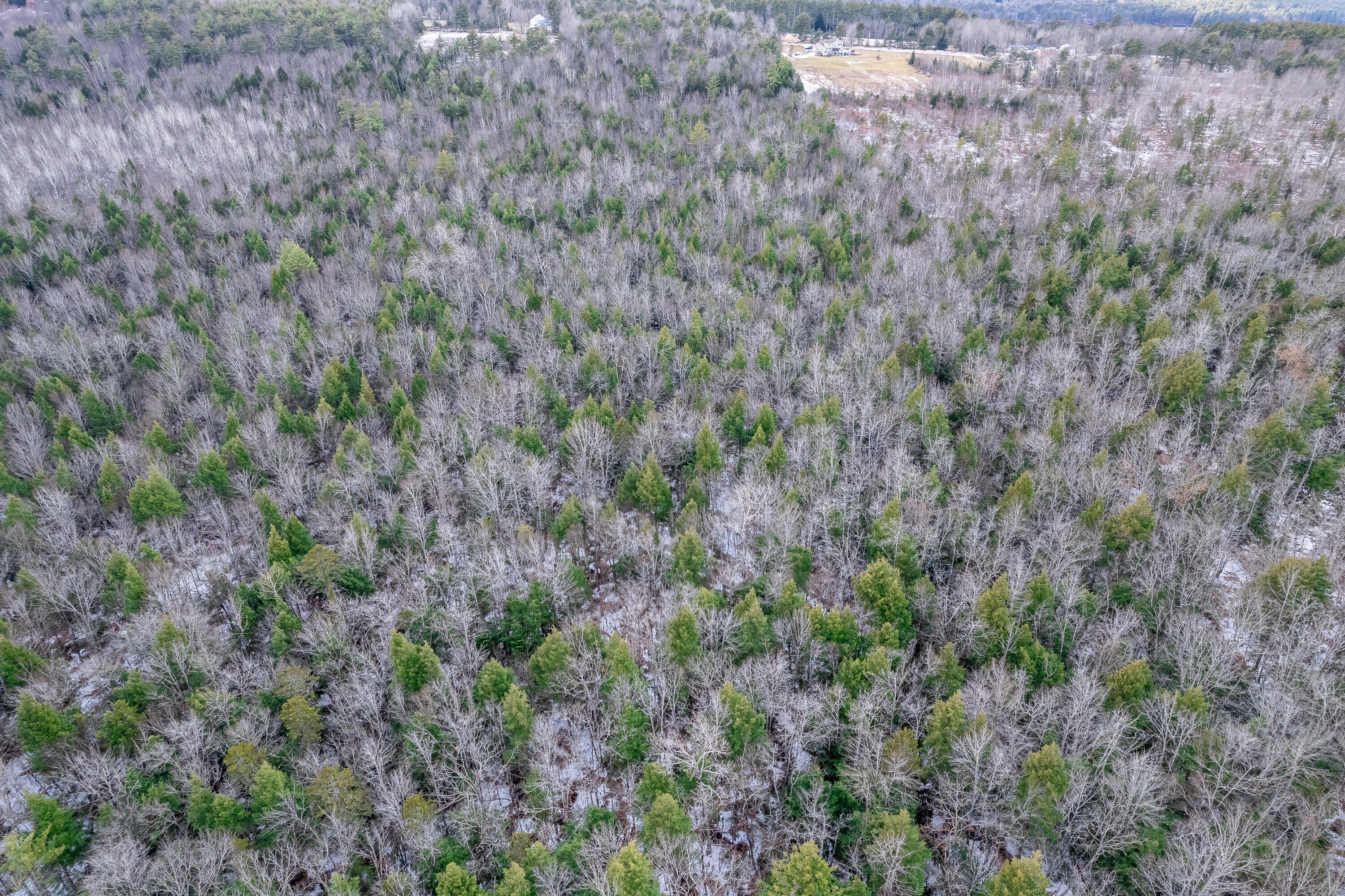 Tbd Hio Ridge Road Bridgton, ME 04009 - Photo 32 of 33 Hio Ridge Rd Bridgton_134