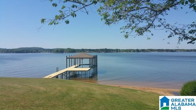 204 Viewpoint Circle Pell City, AL 35128 - Photo 7 of 49