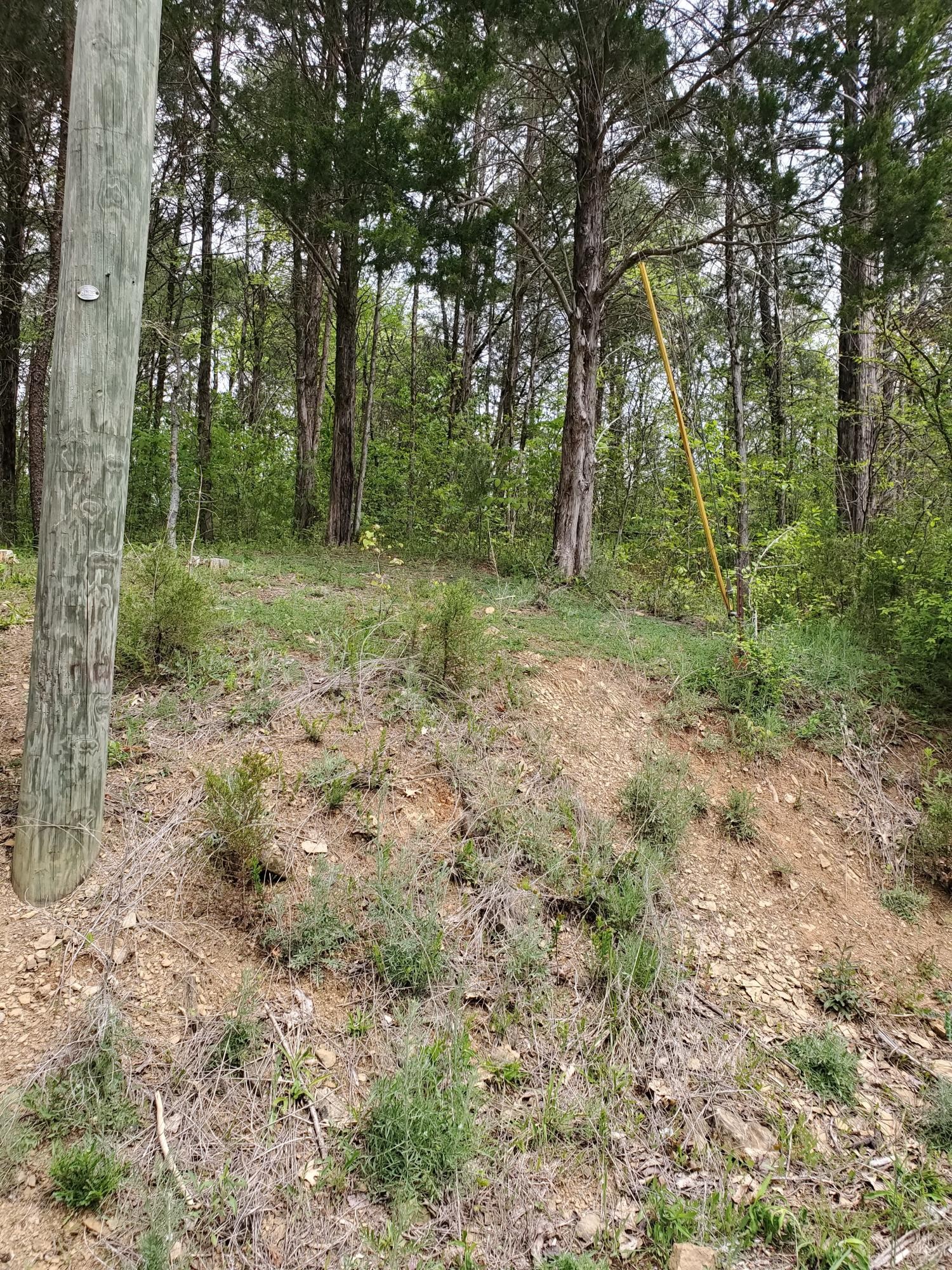 0 Ingle Hollow Road Sevierville, TN 37876 - Photo 5 of 22 Gallery Image 5