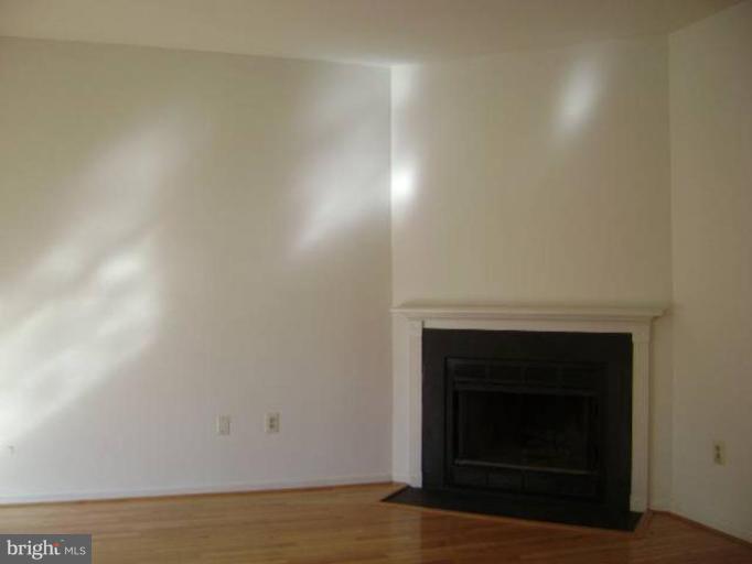 2714 Hunters Gate Terrace Silver Spring, MD 20904 - Photo 2 of 9 Fireplace
