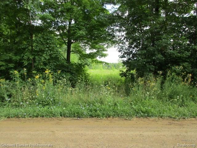 0 Davis Road Attica, MI 48412 - Photo 4 of 6